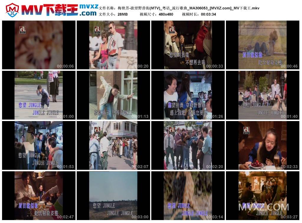 梅艳芳-欲望野兽街(MTV)_粤语_流行歌曲_MA306053